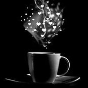 Tina de Bernardo's photo