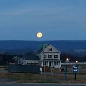 Shawn Lee's photo
