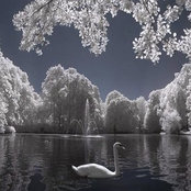 claudiatta's photo