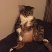 Rita Lapore's photo