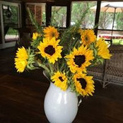 Cindy Ryland Holmes's photo