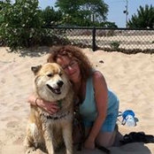 Susan Jarrett's photo