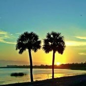 Fran Sands's photo
