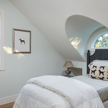 Dog Room