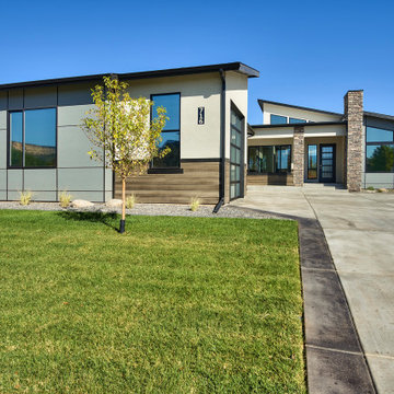 Stella
