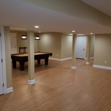 Basement Remodel