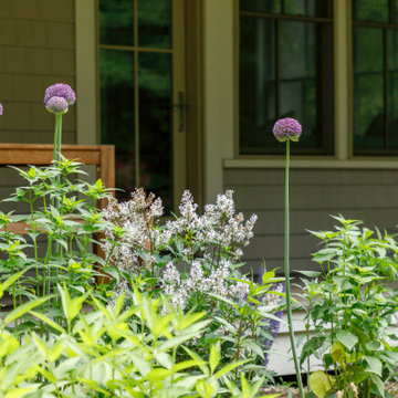 Herbal Children's Garden