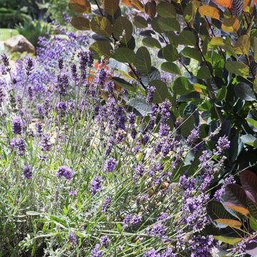 Planting Detail