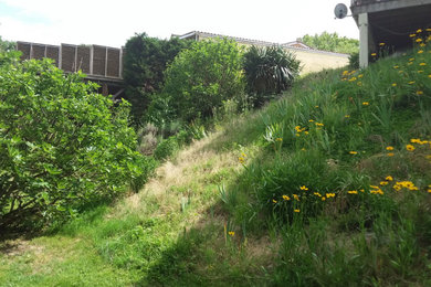 Réalisation d'un jardin champêtre de taille moyenne avec un mur de soutènement et une pente, une colline ou un talus.