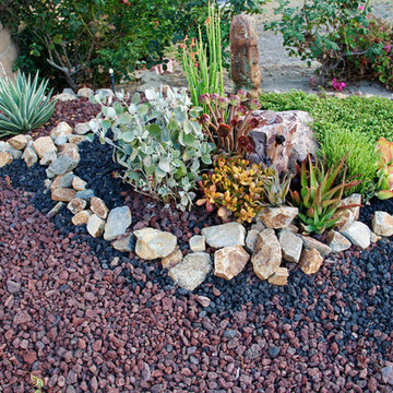 Lake Forest HOA Home Front Yard Remodel with Drought Tolerant Succulent Garden