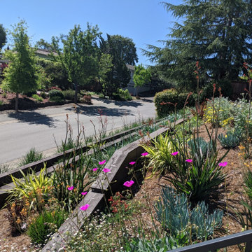 Terraced Curb Appeal & Sloped Backyard Garden
