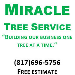 Miracle Tree Service