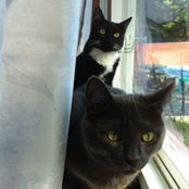 Cathy D. Peters's photo