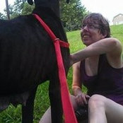 Tabitha Zimmer's photo