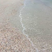 Erin Goheen's photo