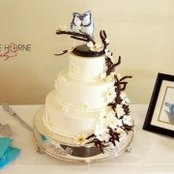 Cindy Henry's photo