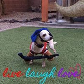 Inez Pinedo's photo