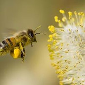 Germy Geziry's photo