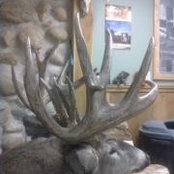 Troy Keller's photo