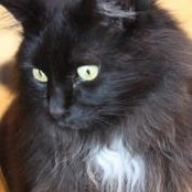 Peg Zappen's photo