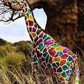 Denise Robertson's photo