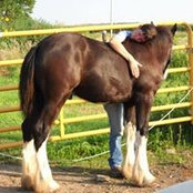 Susan Kokesh's photo