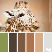 Sarah Anker's photo