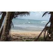 Melisa Akens's photo