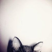 Laure Or's photo