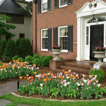 Garden and Plants