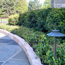 Landscape Ideas