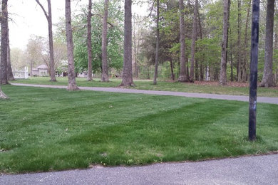 This is an example of a landscaping in Other.