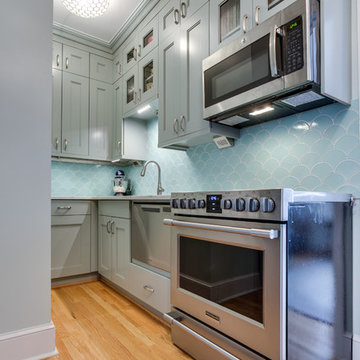Historic D.C. Condo Kitchen