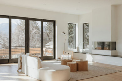 Example of a trendy living room design in Denver