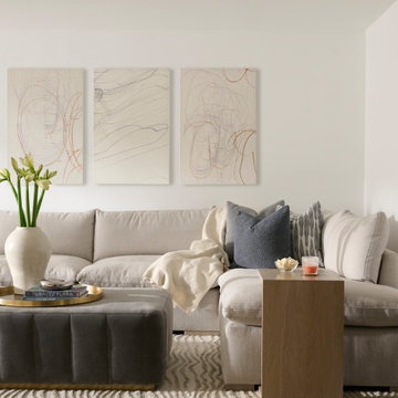 Thornhill - Toronto Renovation