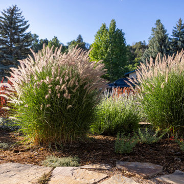 Pollinator Paradise