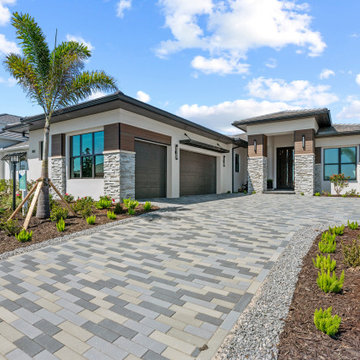 Sand Dollar Model