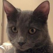 Gina Wright's photo