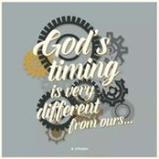 Terri Holly's photo