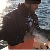 Brett Taylor's photo
