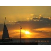 Debbie Maynor's photo