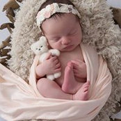 Sarah Van Hoven's photo
