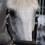 Dawn Jamieson's photo