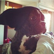 Brent Berg's photo