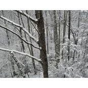 Candace Rundle's photo