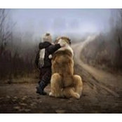 Zanoaga Bogdan's photo