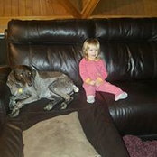 Wayne Halverson's photo