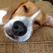 Shannon Sadler's photo