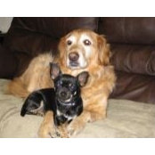 Karen Nipper's photo