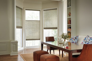 Dining room - mid-century modern dining room idea in Other